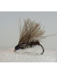 Black Sedge