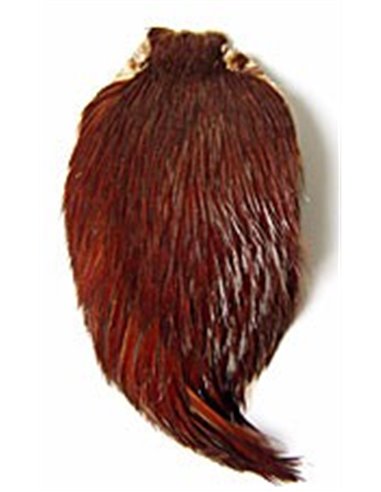 Scalps Cock - Brown, SKK 1