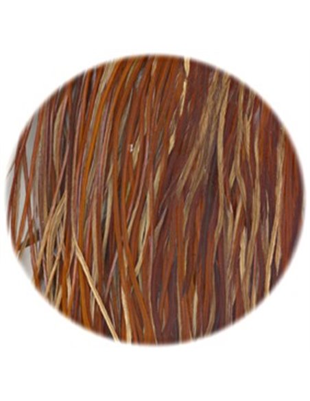 Whiting Bronze Saddle Brown
