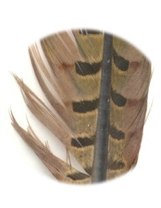 Pheasant tail - Natural, PT1