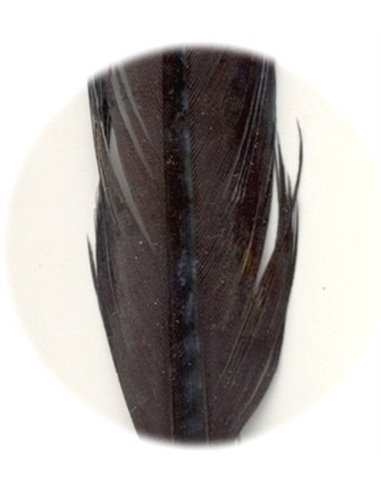Pheasant tail - Black, PT4