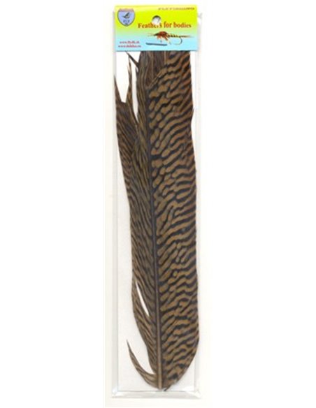 Golden pheasant tail, PT5